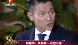 刘德华最新爆料消息,揭秘演艺生涯背后的故事与感悟