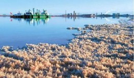 青海盐湖爆料最新消息,神秘矿物揭示地球早期环境之谜