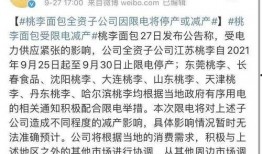 东莞爆料最新新闻消息,聚焦城市动态与民生焦点