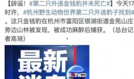 四平博达爆料事件最新,揭秘背后真相与网络舆论风暴