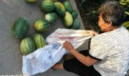 桂林吃瓜最新事件爆料,揭秘背后真相与网络热议背后的故事