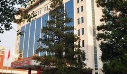 长安俱乐部最新爆料,最新爆料背后的惊人真相