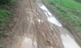 阆中各种爆料事件最新,揭秘近期热点事件背后的真相